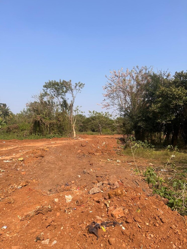 undefined, patrapada  1401 Sq.Yd. Plot In Patrapada Bhubaneswar 8095539