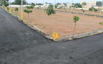 Plot For Sale in Sikandrabad