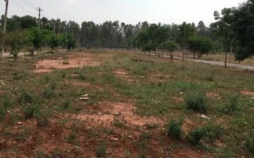 Plot For Sale in Sikandrabad
