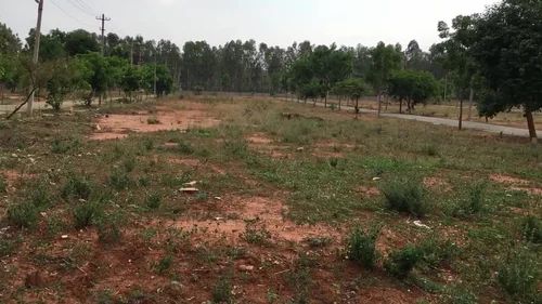 Plot For Sale in Shiv Calony Kailash Hospi