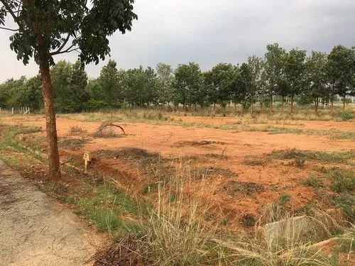 Plot For Sale in Shiv Calony Kailash Hospi