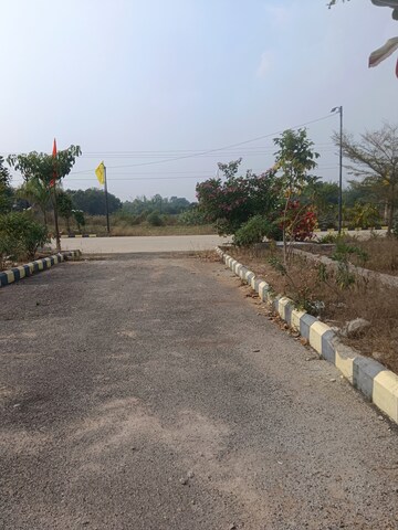 Plot Area in  Plot at Wadakpally – for Sale