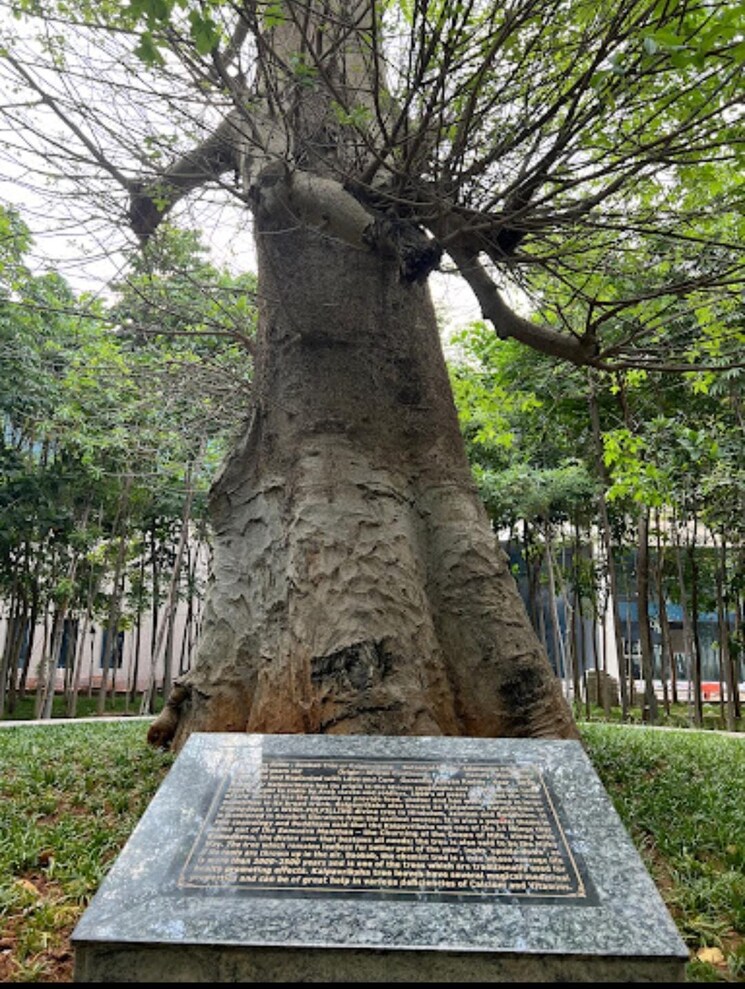 Garden, greenmark-mayfair-apartments 3 Bedroom 1825 Sq.Ft. Apartment In Tellapur Hyderabad 8096106