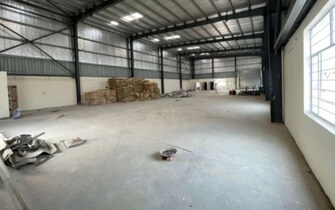 Commercial Warehouse 1500 Sq.Ft. For Rent in Punjabi Bagh Delhi  8096248