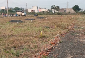 Plot For Resale in Narsala Nagpur  8096329