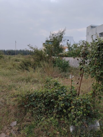 Plot Area in  Plot at Gundlapochampally – for Sale