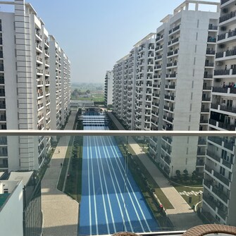 1 BHK Apartment For Rent in Central Park 3 The Room Sohna Sector 33 Gurgaon  8096552