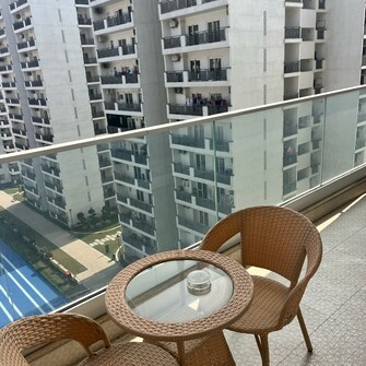 1 BHK Apartment For Rent in Central Park 3 The Room Sohna Sector 33 Gurgaon  8096552