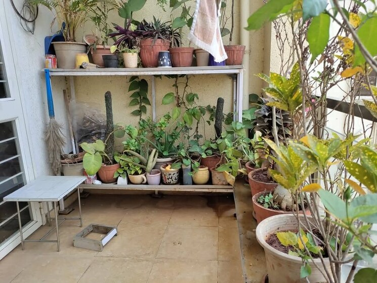 Balcony, dhanori 3 Bedroom 900 Sq.Ft. Apartment In Dhanori Pune 8096737