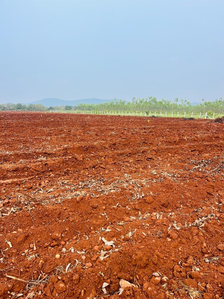 undefined, ramalinga puram  1 Acre Plot In Ramalinga Puram Nellore 8096741