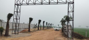 Plot For Resale in Jewar Greater Noida  8096785