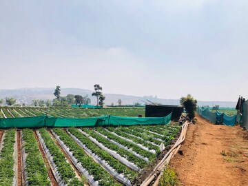  Plot – Exterior View View at Mahabaleshwar - for Sale