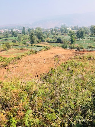 Plot For Resale in Mahabaleshwar Satara  8096829