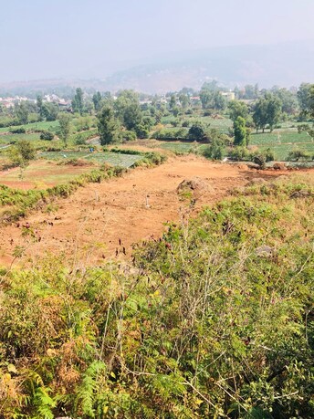 Plot For Resale in Mahabaleshwar - Poladpur Road Satara  8096829