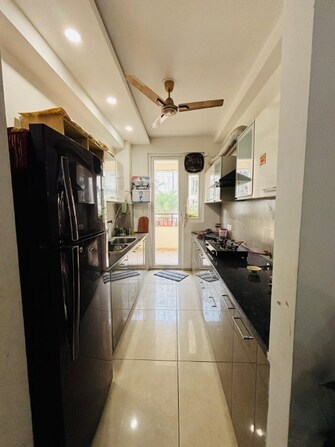 2 BHK Independent House For Rent in Sector 7 Panchkula  8096839