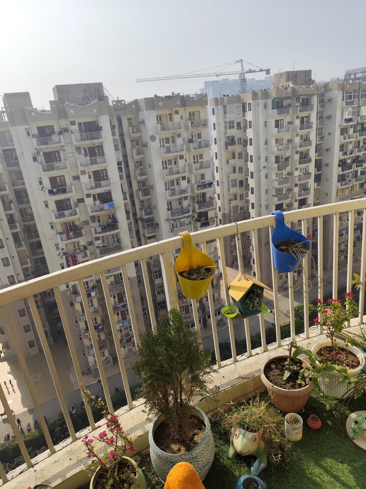 Exterior View, gulmohur-garden 3.5 Bedroom 1590 Sq.Ft. Apartment In Raj Nagar Extension Ghaziabad 8096954