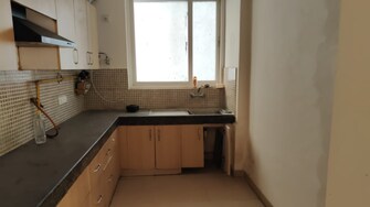 3 BHK Apartment For Rent in Great Value Sharanam Sector 107 Noida  8065248