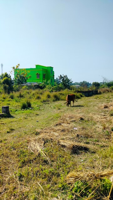 Plot Area in  Plot at Baruipur – for Sale