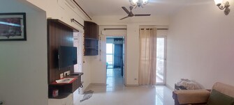 1 BHK Apartment For Rent in Maxblis Grand Wellington Sector 75 Noida  8097024