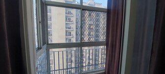 1 BHK Apartment For Rent in Maxblis Grand Wellington Sector 75 Noida  8097024