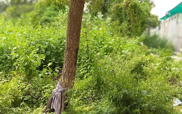 Plot For Sale in Tukkuguda