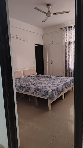 3 BHK Apartment For Rent in Fortune Regalia Towers Dhakoli Village Zirakpur  8097147