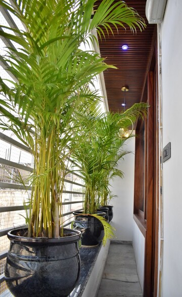 Balcony in 1 BHK Apartment at Om Pallacia, C-Scheme – for Rent
