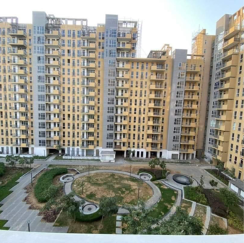 2.5 BHK Apartment For Rent in Ireo The Corridors Ramgarh Dhani Gurgaon  8097185