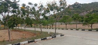 Plot For Resale in Warangal Highway Hyderabad  8097193