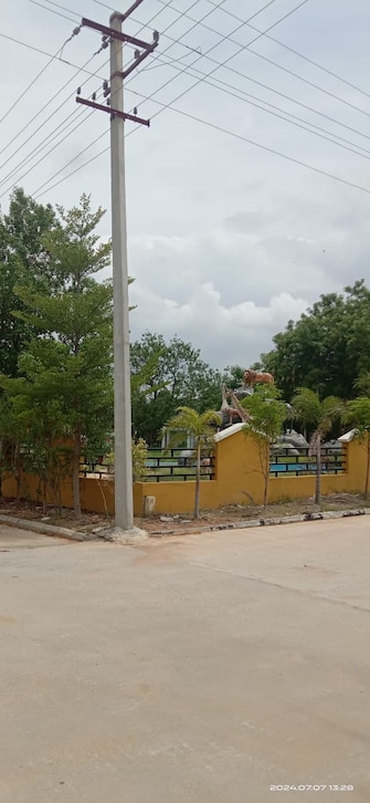 Plot For Resale in Warangal Highway Hyderabad  8097193