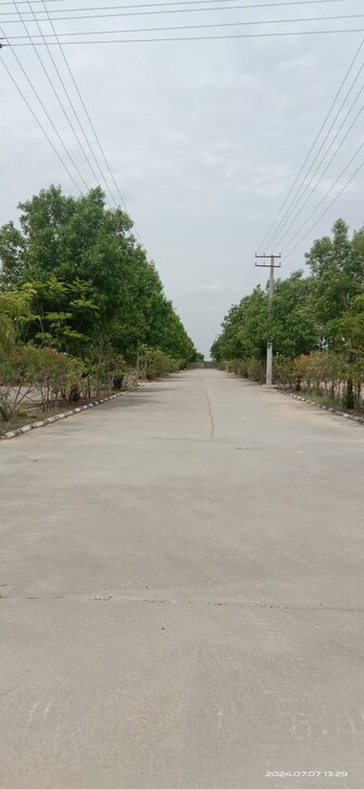 Plot For Resale in Warangal Highway Hyderabad  8097193