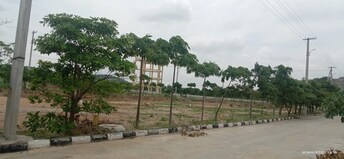 Plot For Resale in Warangal Highway Hyderabad  8097193