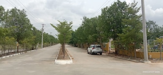 Plot For Resale in Warangal Highway Hyderabad  8097193