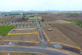 Plot For Resale in Ayodhyanagar Vijayawada  8097248