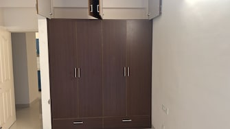 2 BHK Apartment For Rent in Steel Strips Towers Central Derabassi Chandigarh  8097291