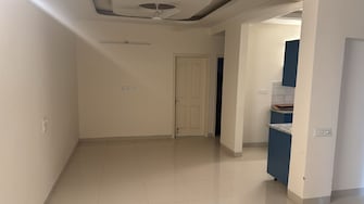 2 BHK Apartment For Rent in Steel Strips Towers Central Derabassi Chandigarh  8097291