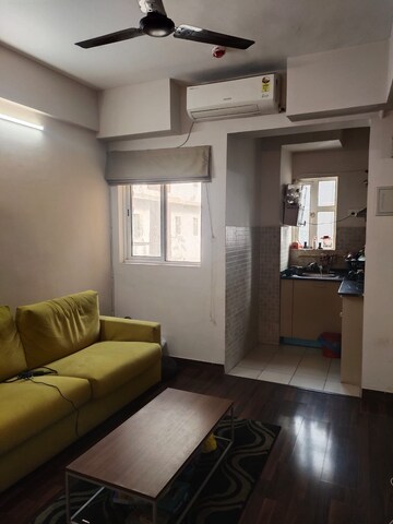 Studio Apartment For Rent in Paras Tierea Sector 137 Noida  8097472