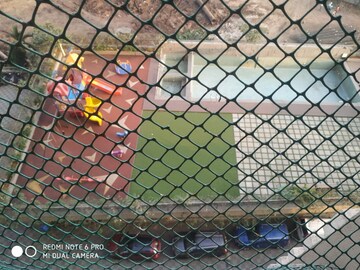 2 BHK Apartment – Garden View at SKD Pinnacolo, Mira Road - for Rent