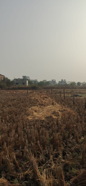 Plot Area in  Plot at Bamandongri – for Sale