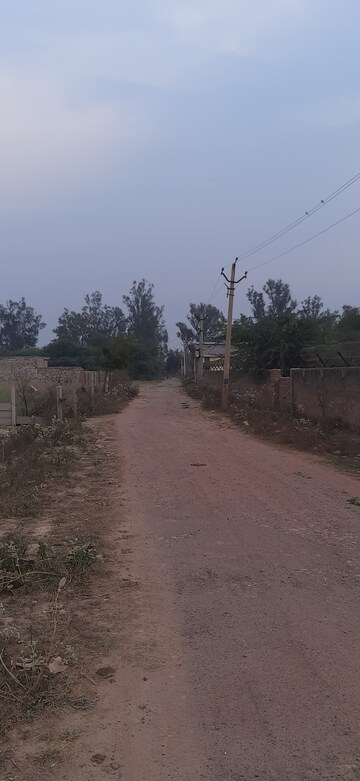  Plot For Sale in Chhatikara