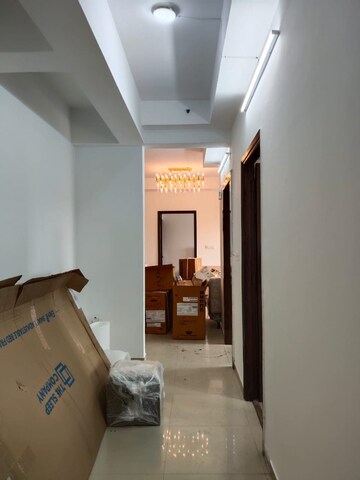 Living Room in 3 BHK Apartment at Moti Nagar – for Rent