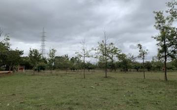 Plot For Sale in Devanahalli