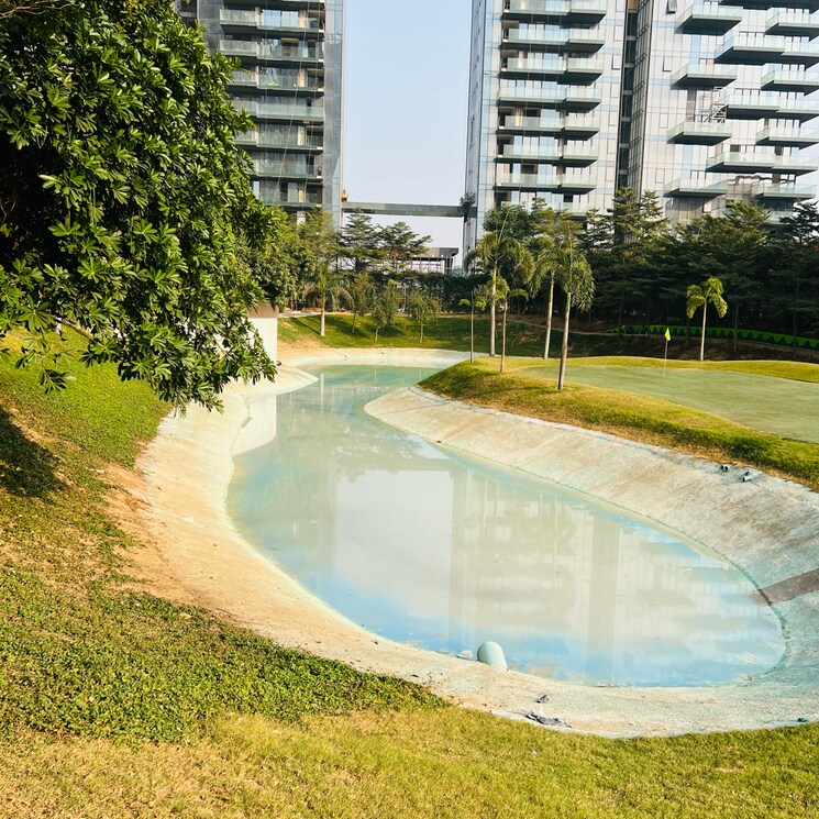 Swimming Pool, m3m-golf-estate 3 Bedroom 3705 Sq.Ft. Apartment In Sector 65 Gurgaon 8097915