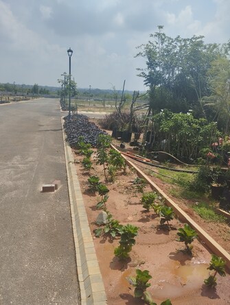 Plot For Resale in Manyata Midlands Anekal Bangalore  8098000