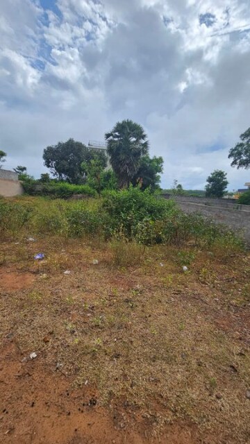 Plot For Resale in Madhurawada Vizag  8098152