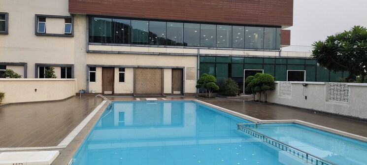 Swimming Pool, wave-executive-floors 2 Bedroom 900 Sq.Ft. Apartment In Wave City Ghaziabad 8098213