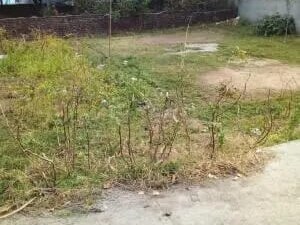 Plot For Sale in Sikandrabad