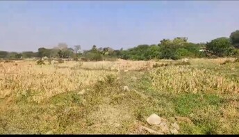 Commercial Land 1 Acre For Resale in Kamareddy Nizamabad  8098437