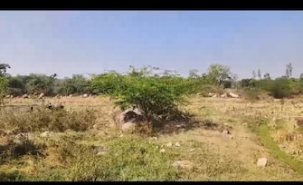 Commercial Land 1 Acre For Resale in Kamareddy Nizamabad  8098437