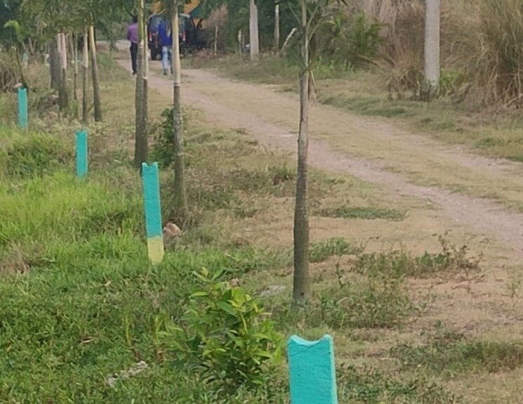 undefined, joka  1400 Sq.Ft. Plot In Joka Kolkata 8098499